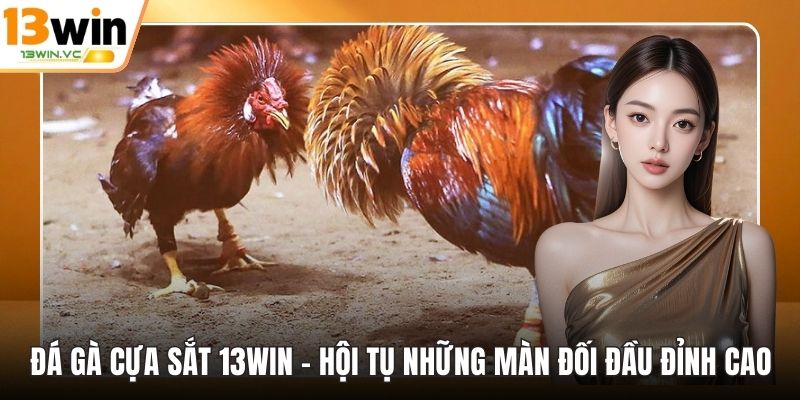 Đá gà cựa sắt