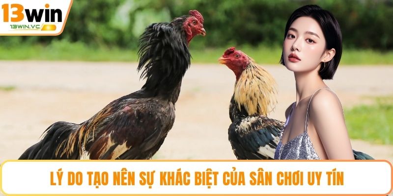 Lý do tạo nên sự khác biệt của sân chơi uy tín