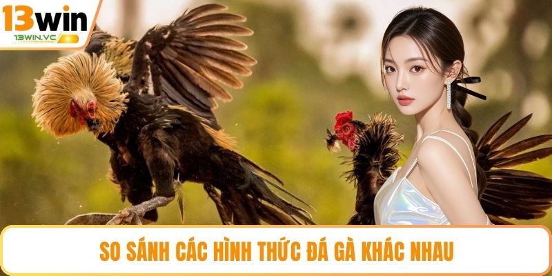 So sánh các hình thức đá gà khác nhau