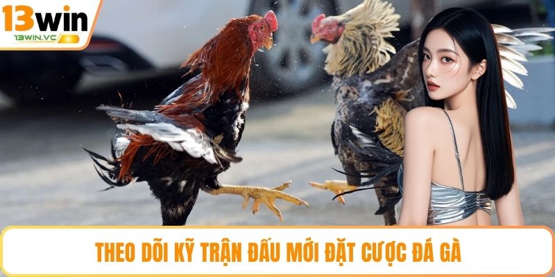 Theo dõi kỹ trận đấu mới đặt cược đá gà